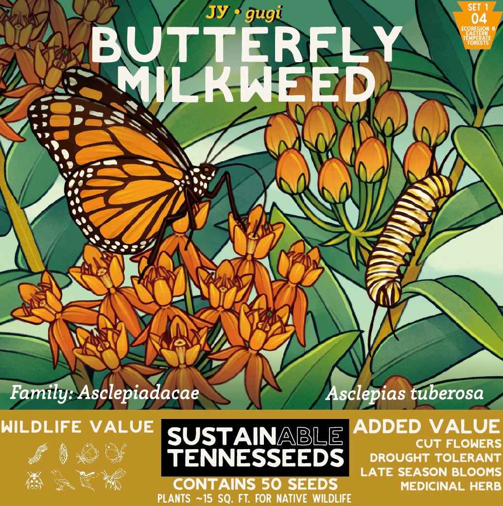 Set 1 Bundle of Top 5 Native Wildflowers of Eastern North America