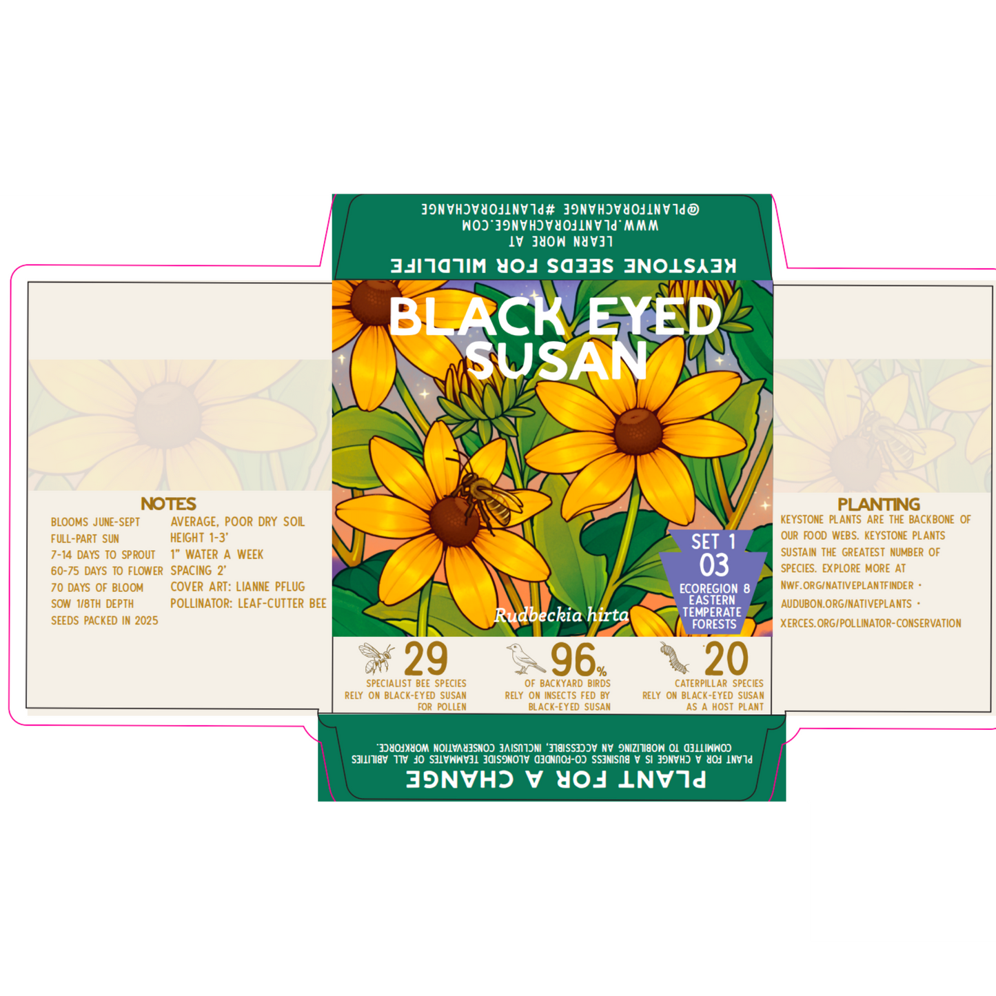 Sellers Bundle Butterfly Milkweed Paper Pack (100)