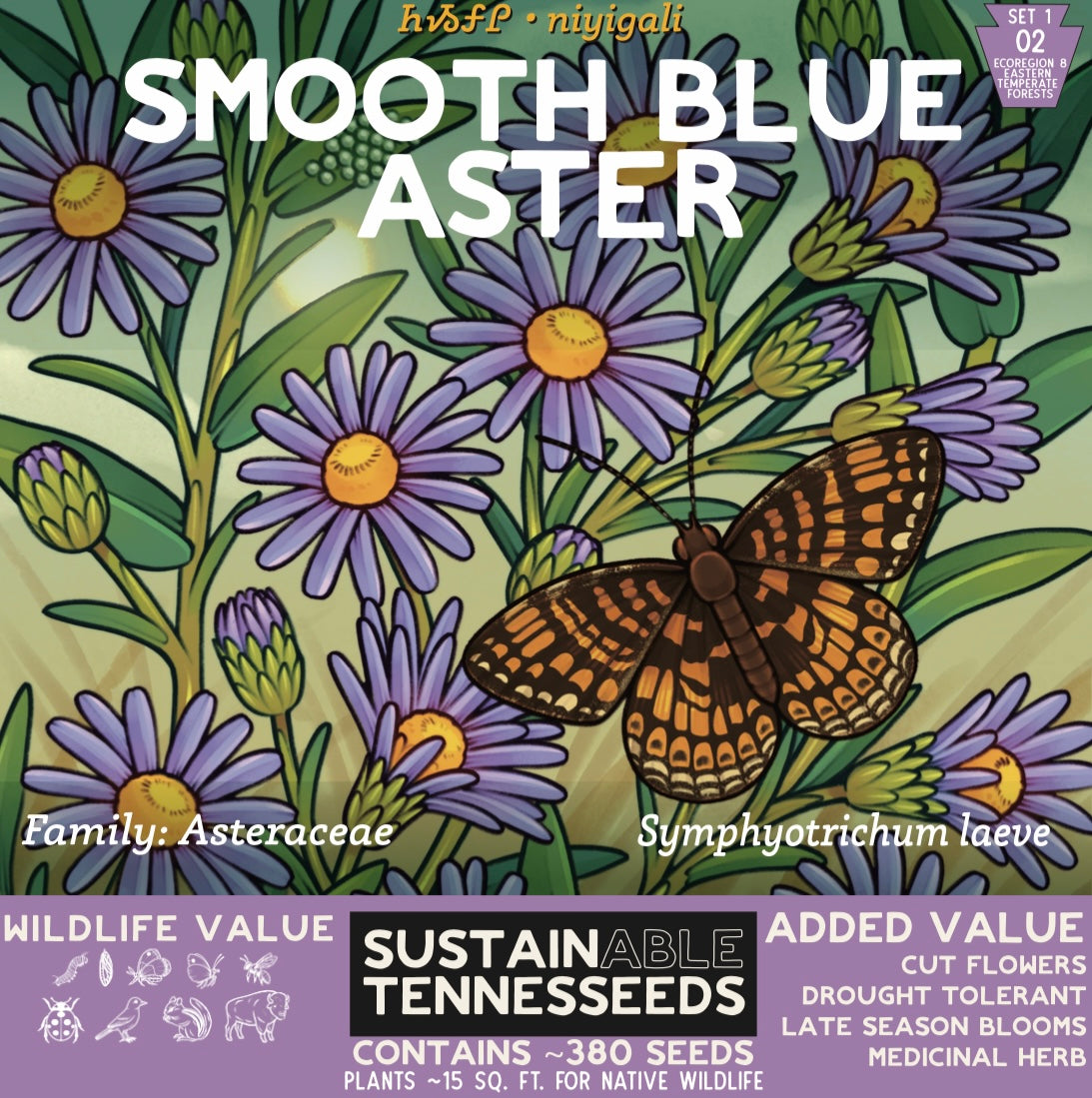 Set 1 Bundle of Top 5 Native Wildflowers of Eastern North America