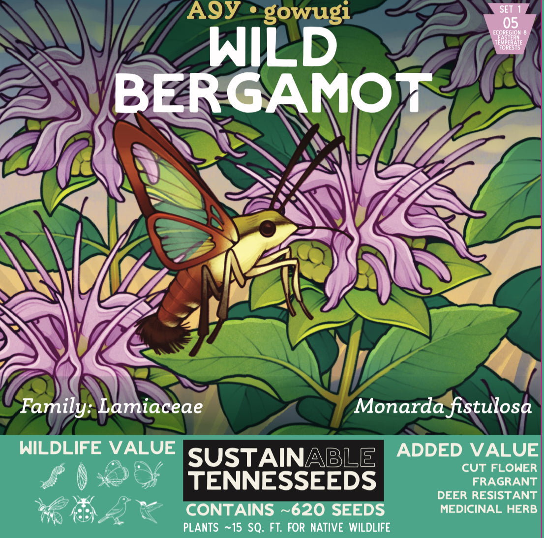 Set 1 Bundle of Top 5 Native Wildflowers of Eastern North America