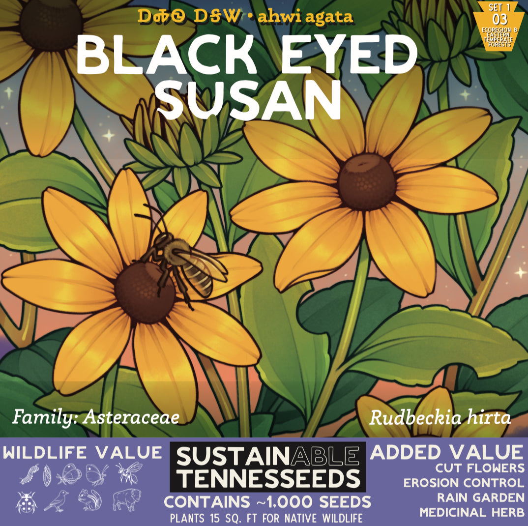 Set 1 Bundle of Top 5 Native Wildflowers of Eastern North America