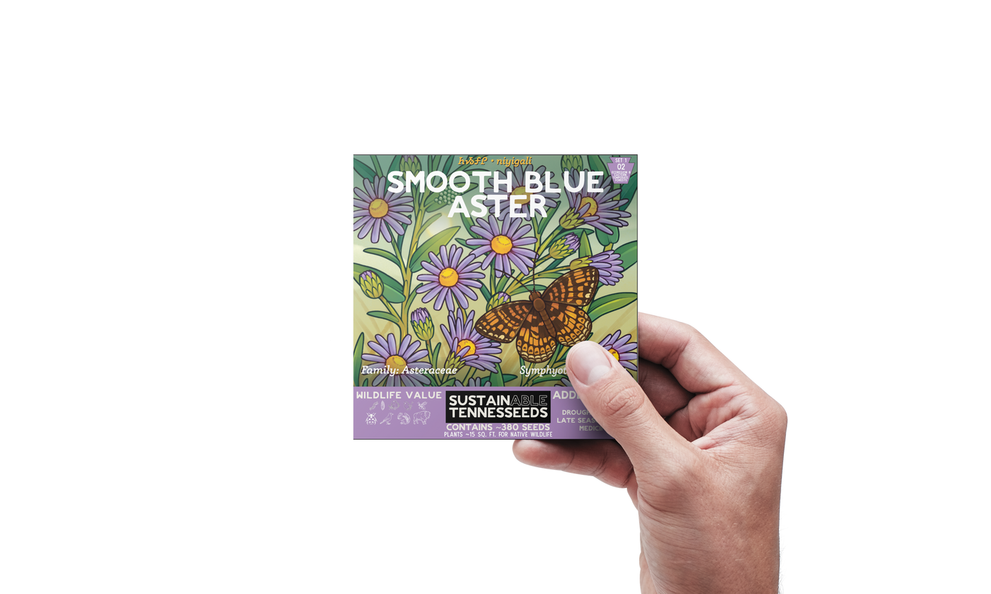 Smooth Blue Aster