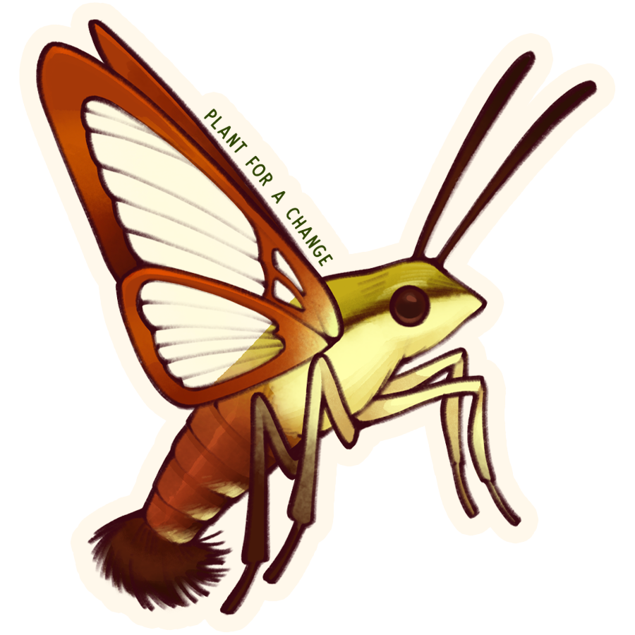 Hummingbird Clearwing Moth Vinyl/Waterproof/UV Resistant