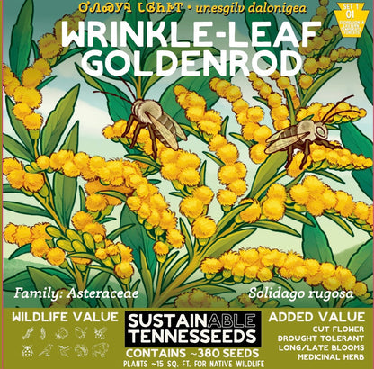 Set 1 Bundle of Top 5 Native Wildflowers of Eastern North America