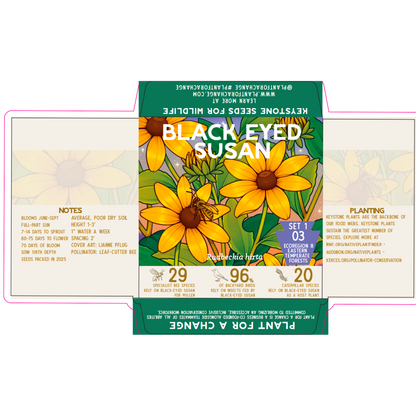 Sellers Bundle Butterfly Milkweed Paper Pack (100)