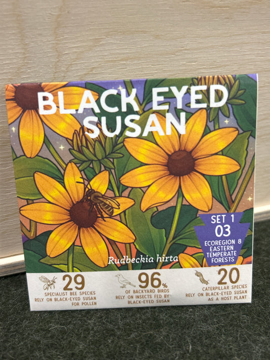 Black Eyed Susan Paper Pack