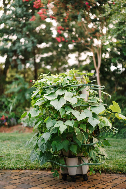 GreenStalk Garden Mover