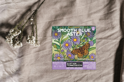 Smooth Blue Aster