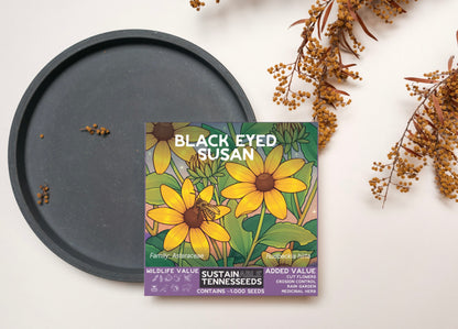 Black-Eyed Susan (Rudbeckia hirta)