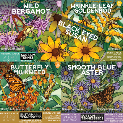 Set 1 Bundle of Top 5 Native Wildflowers of Eastern North America