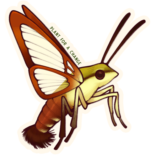 Hummingbird Clearwing Moth Vinyl/Waterproof/UV Resistant
