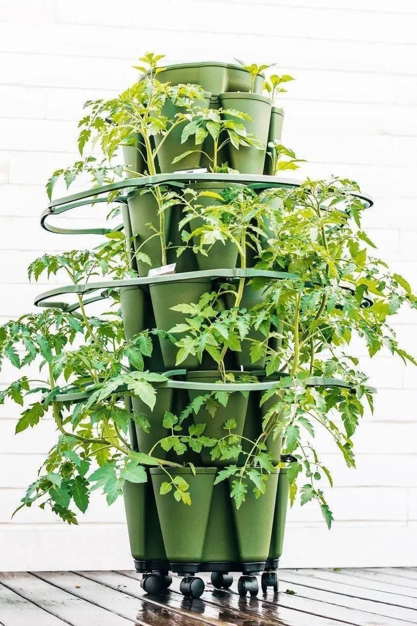 GreenStalk Garden Plant Support (Set of 3)