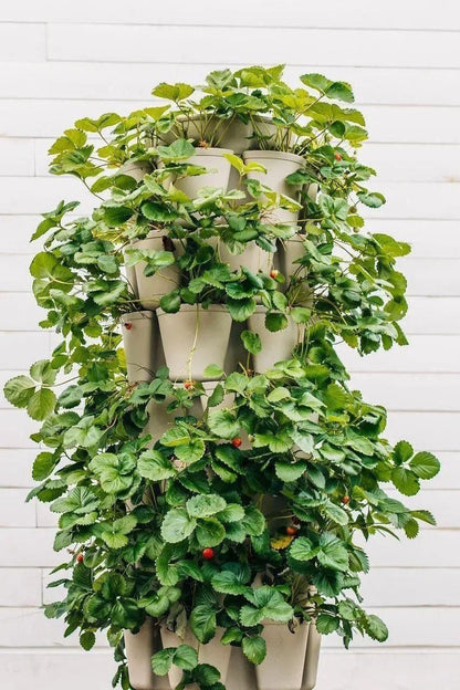 7 Tier GreenStalk Garden Leaf Vertical Planter - Basic Texture