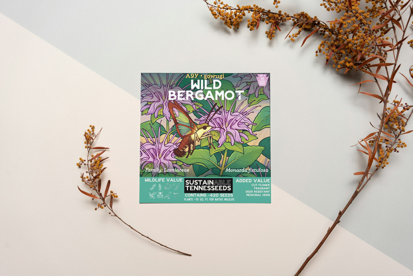 Wild Bergamot