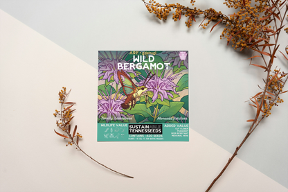 Wild Bergamot Seeds